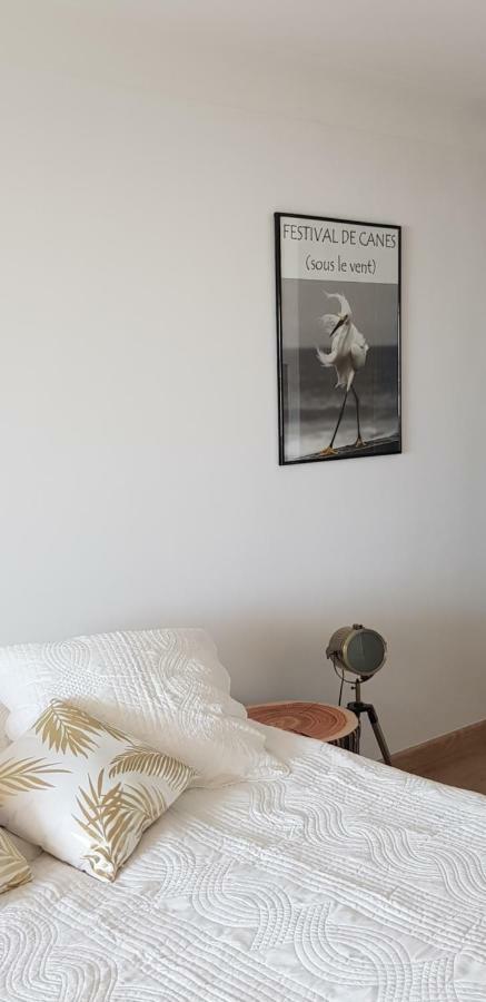 La Goelette - Palais Des Festivals Apartman Cannes Kültér fotó